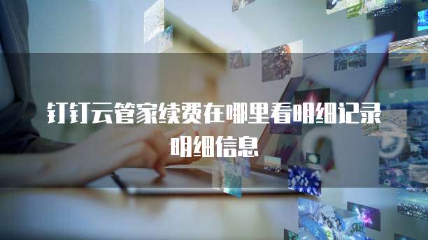 钉钉云管家续费在哪里看明细记录明细信息