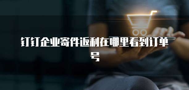 钉钉企业寄件返利在哪里看到订单号