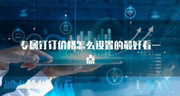 专属钉钉价格怎么设置的最好看一点