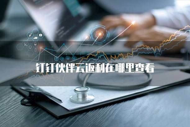 钉钉伙伴云返利在哪里查看