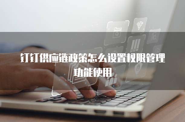 钉钉供应链政策怎么设置权限管理功能使用