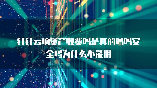 钉钉云呐资产收费吗是真的吗吗安全吗为什么不能用