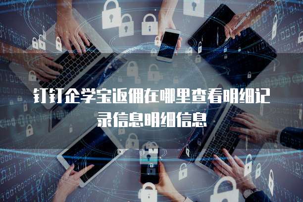 钉钉企学宝返佣在哪里查看明细记录信息明细信息
