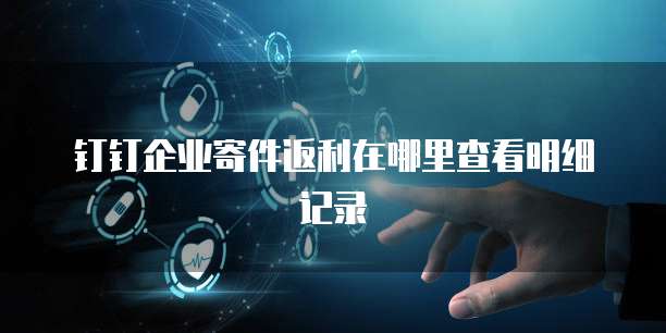 钉钉企业寄件返利在哪里查看明细记录