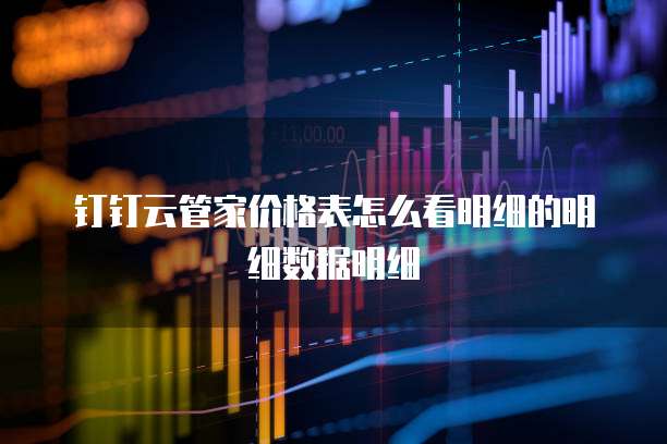 钉钉云管家价格表怎么看明细的明细数据明细