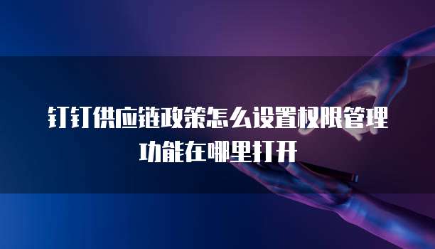 钉钉供应链政策怎么设置权限管理功能在哪里打开