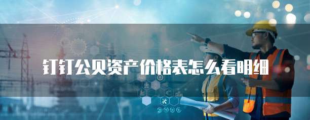 钉钉公贝资产价格表怎么看明细