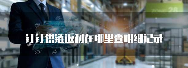 钉钉供链返利在哪里查明细记录