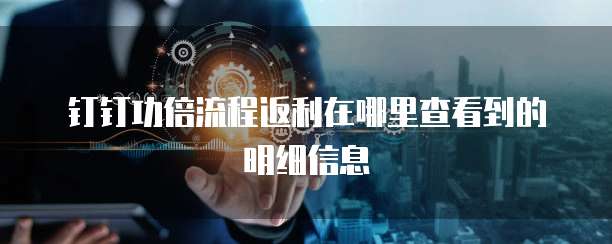 钉钉功倍流程返利在哪里查看到的明细信息