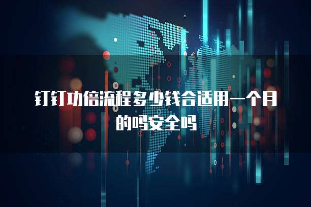钉钉功倍流程多少钱合适用一个月的吗安全吗