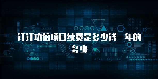 钉钉功倍项目续费是多少钱一年的多少