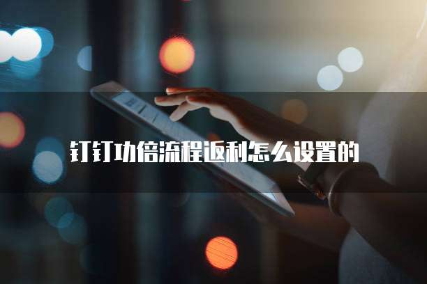 钉钉功倍流程返利怎么设置的