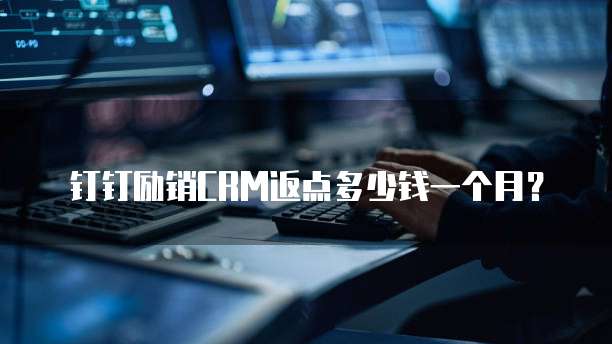 钉钉励销CRM返点多少钱一个月?