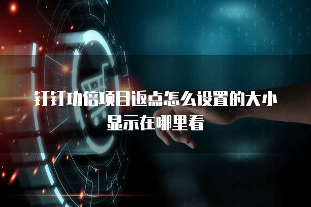 钉钉功倍项目返点怎么设置的大小显示在哪里看
