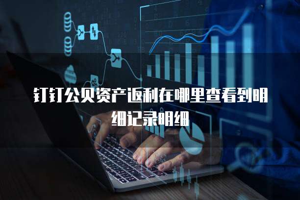 钉钉公贝资产返利在哪里查看到明细记录明细