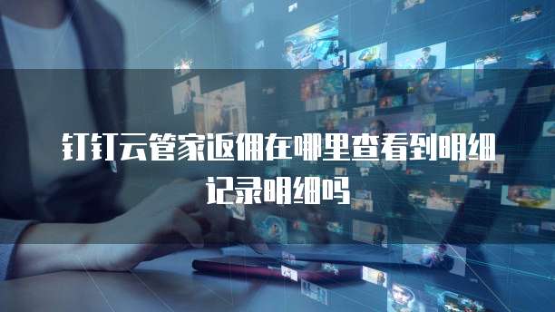 钉钉云管家返佣在哪里查看到明细记录明细吗