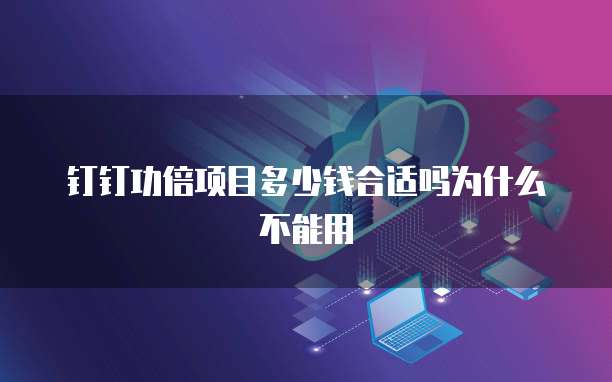 钉钉功倍项目多少钱合适吗为什么不能用
