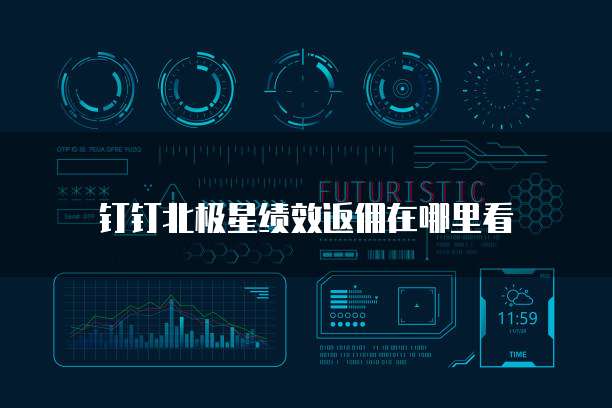 钉钉北极星绩效返佣在哪里看