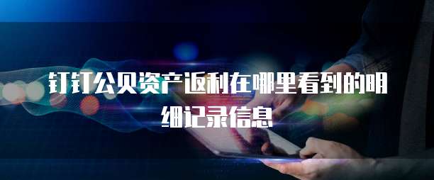 钉钉公贝资产返利在哪里看到的明细记录信息