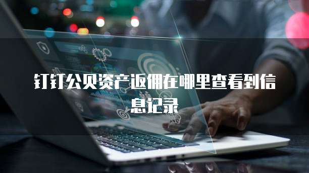 钉钉公贝资产返佣在哪里查看到信息记录