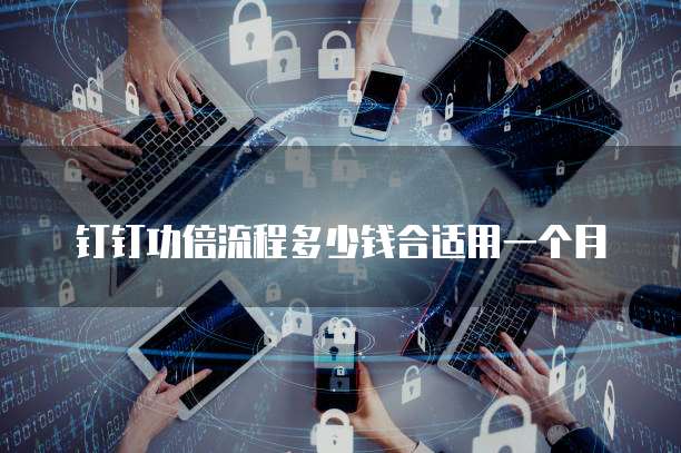 钉钉功倍流程多少钱合适用一个月