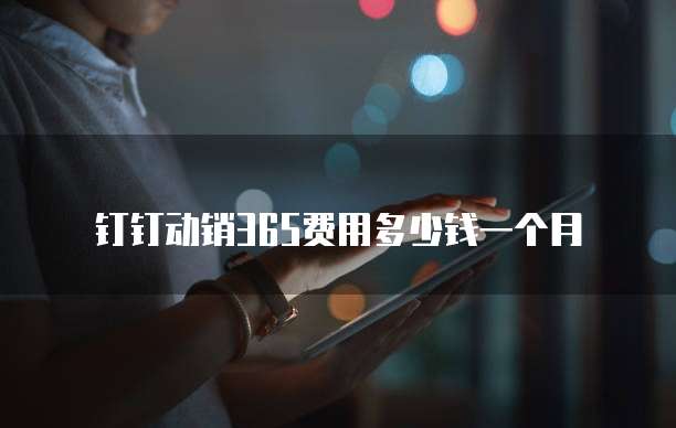 钉钉动销365费用多少钱一个月