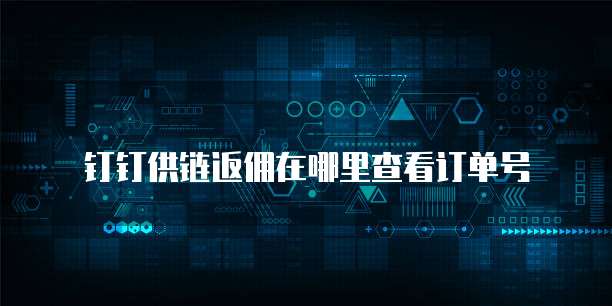钉钉供链返佣在哪里查看订单号
