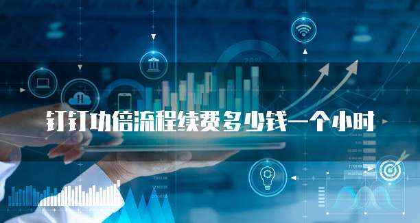钉钉功倍流程续费多少钱一个小时