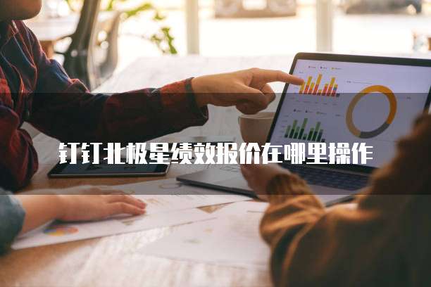 钉钉北极星绩效报价在哪里操作