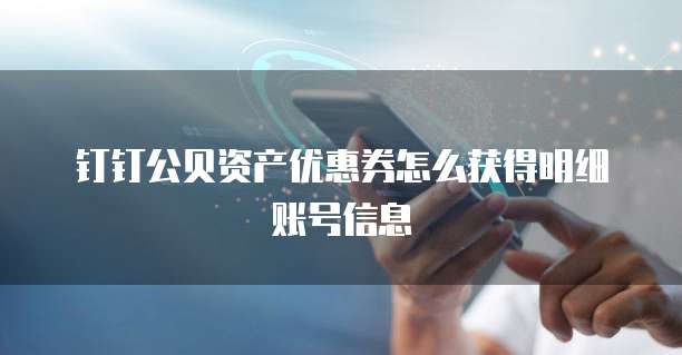 钉钉公贝资产优惠券怎么获得明细账号信息