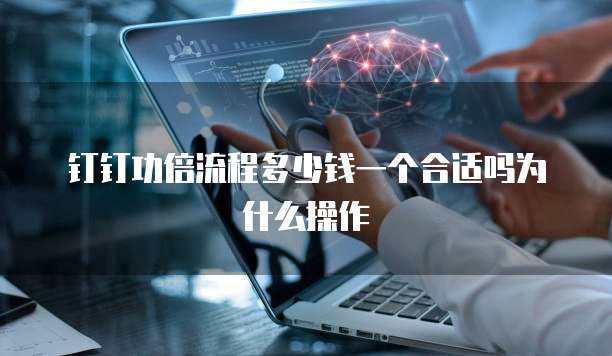 钉钉功倍流程多少钱一个合适吗为什么操作