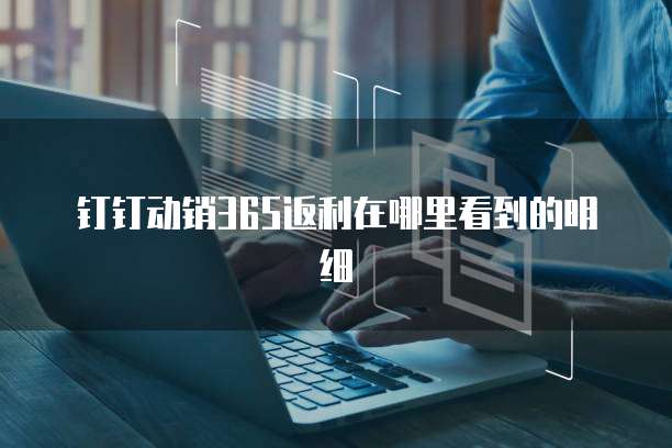 钉钉动销365返利在哪里看到的明细