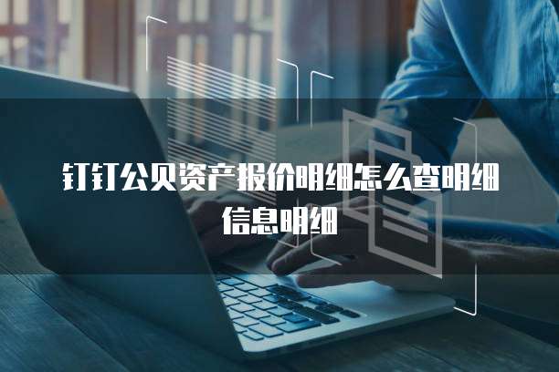 钉钉公贝资产报价明细怎么查明细信息明细