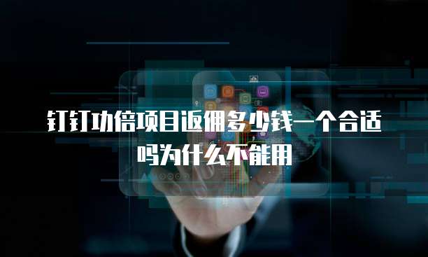 钉钉功倍项目返佣多少钱一个合适吗为什么不能用