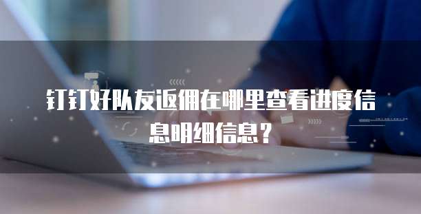 钉钉好队友返佣在哪里查看进度信息明细信息?