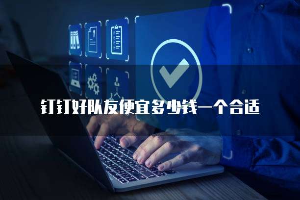 钉钉好队友便宜多少钱一个合适