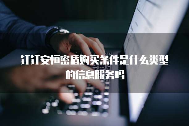 钉钉安恒密盾购买条件是什么类型的信息服务吗