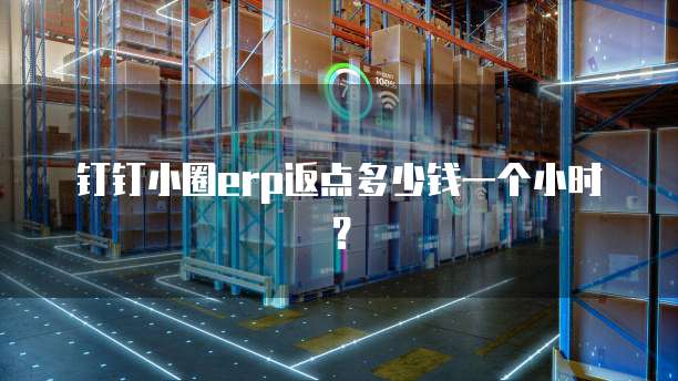 钉钉小圈erp返点多少钱一个小时？