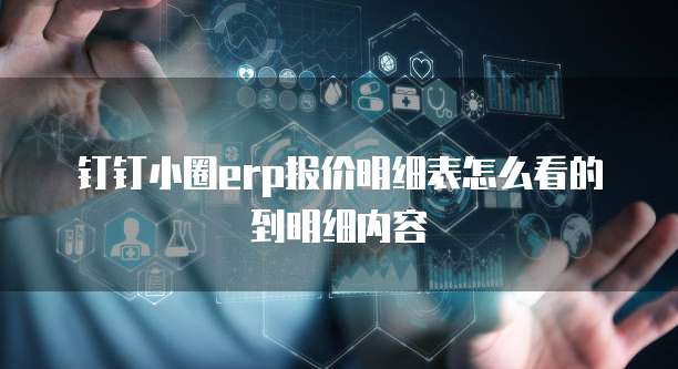 钉钉小圈ERP报价明细表怎么看的到明细内容