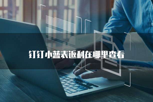 钉钉小蓝表返利在哪里查看