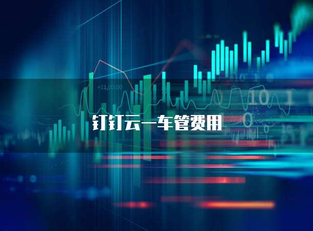 钉钉云一车管费用