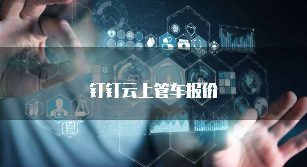 钉钉云上管车报价