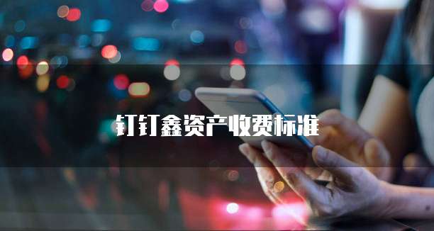 钉钉鑫资产价格,钉钉鑫资产收费标准