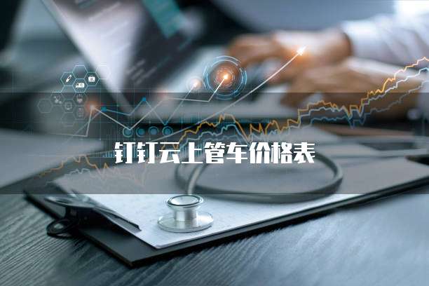 钉钉云上管车价格表