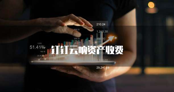 钉钉云呐资产收费