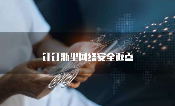 钉钉浙里网络安全返点