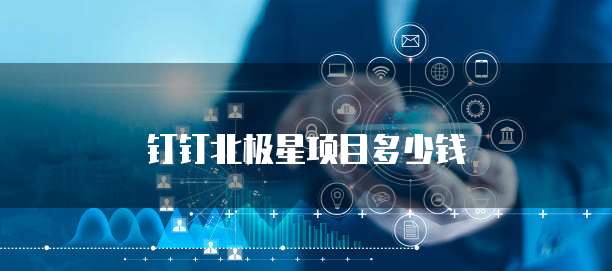 钉钉北极星项目多少钱