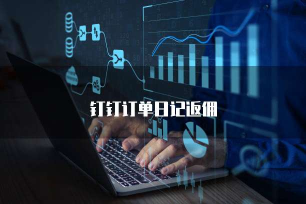 钉钉订单日记返佣