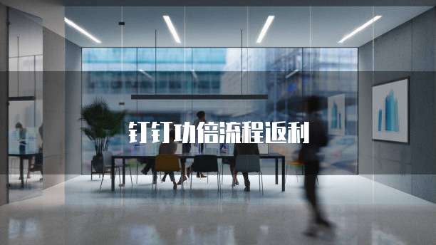 钉钉功倍流程返利