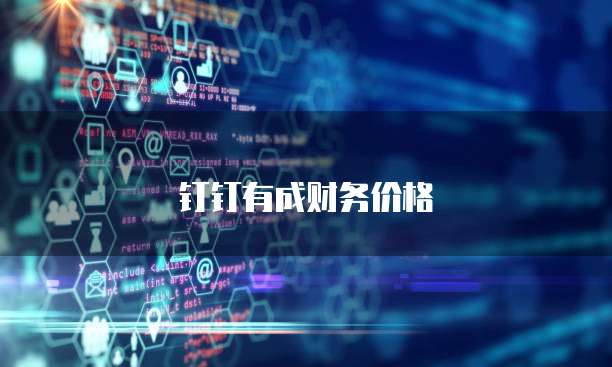 钉钉有成财务价格